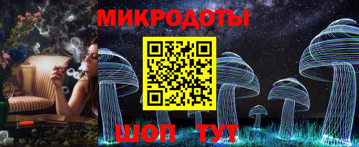 Галлюциногенные грибы Psilocybe  Вход с VPN  Реж 